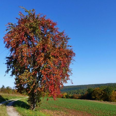 Blumenschein-Ferienwohnung Unne Kirchzell Eksteriør bilde